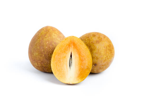 istock Chico fruit or Sapodilla with white background 1050553598