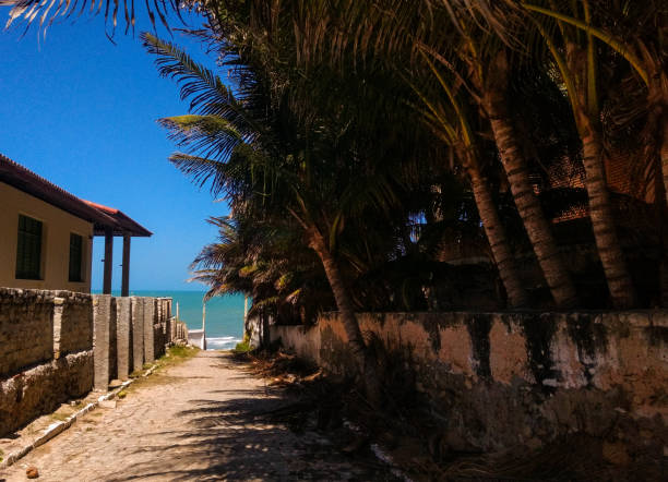 istock Way to the beach 1050554050