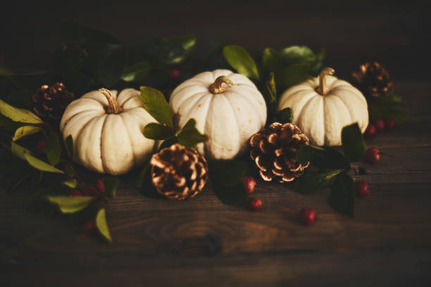 istock Artistic fall background with white pumpkins and berries 1050556228