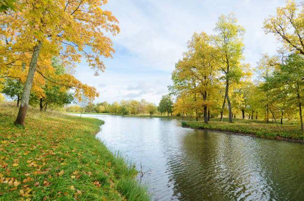 istock Autumn landscape in the Park. 1050567312