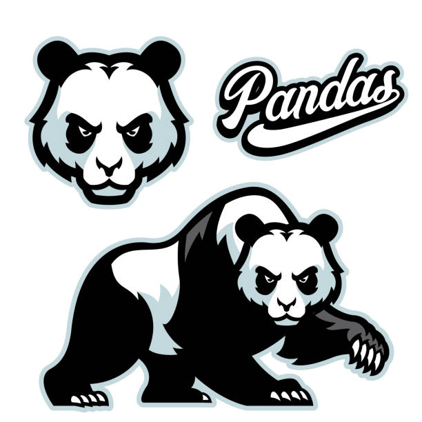 panda mascot style with separated head vector of panda mascot style with separated head are panda bears aggressive stock illustrations