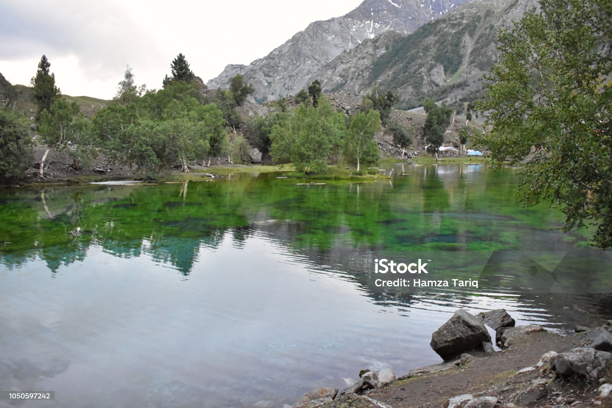 Naltar Valley land for Sale