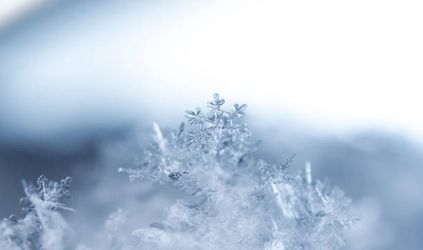 istock snowflake, little snowflake on the snow 1050600366