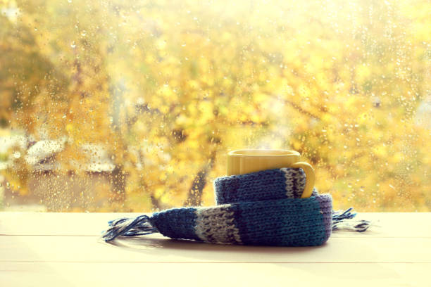 istock warm atmosphere of warming comfort 1050600924
