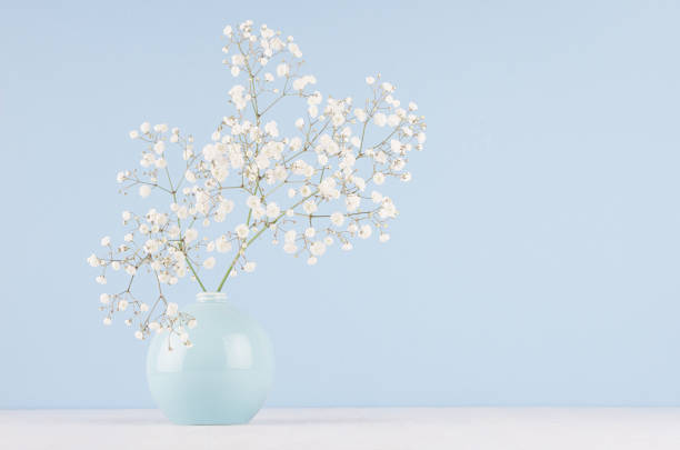 istock Spring bouquet of white small fluffy flowers in blue smooth circle ceramic vase on soft white wood table and pastel blue wall. 1050601350