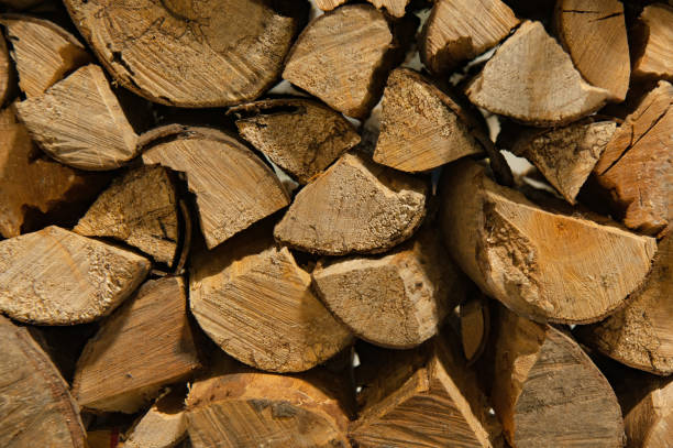 istock Stacked recycled wood, firewood 1050604144