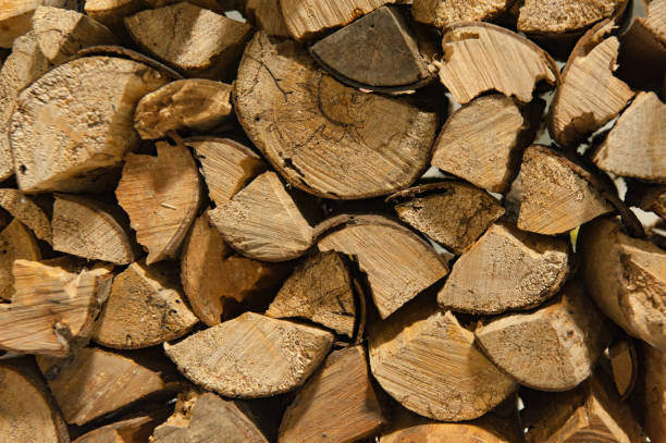 istock Stacked recycled wood, firewood 1050604174