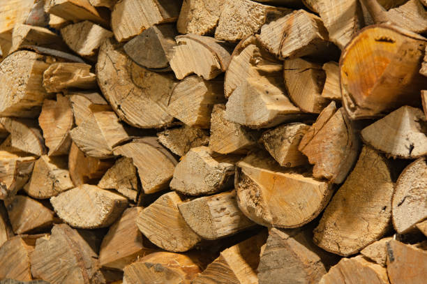 istock Stacked recycled wood, firewood 1050604216