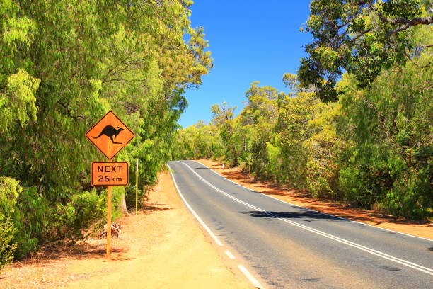 istock Kangaroo road sign in Australia 1050609672