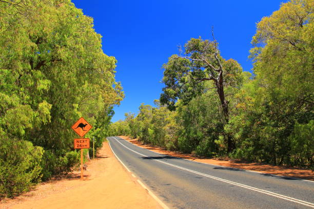 istock Kangaroo road sign in Australia 1050609744