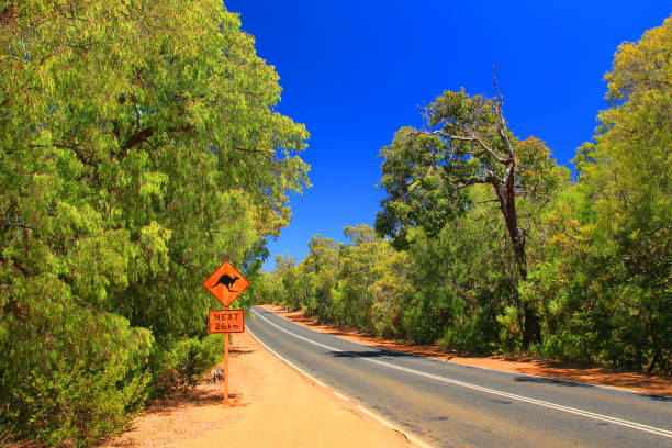 istock Kangaroo road sign in Australia 1050609802