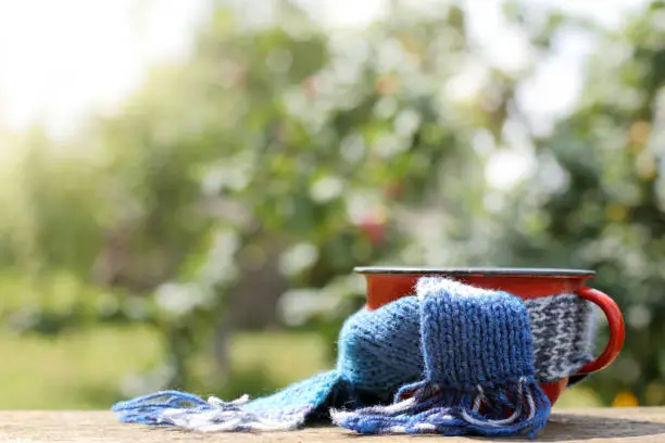 orange mug in a blue scarf on a wooden table in the background of the garden