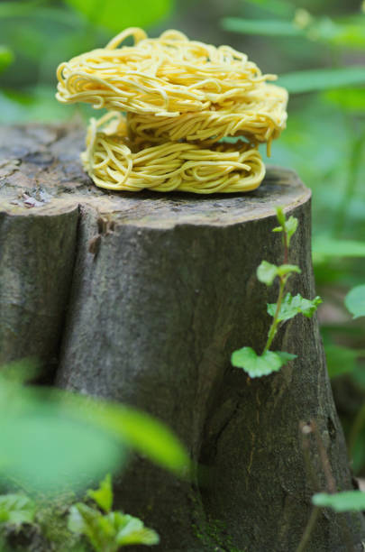 istock Chinese noodles in the nature 1050610378