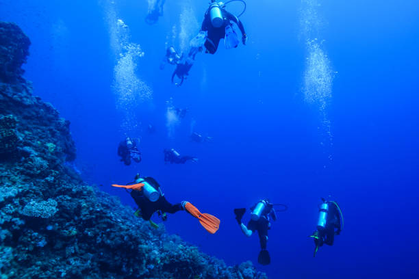 istock Egypt Red sea Scuba diving 1050610430