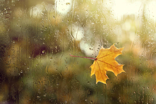 istock weather change in the autumn 1050613310