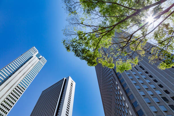 istock Fresh green and building groups 1050613394