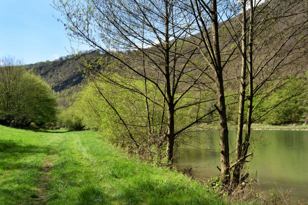 istock river Meuse Ardennes France 1050636700