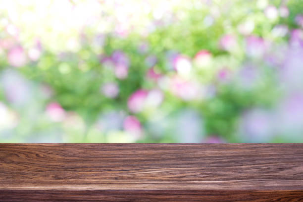 istock Blur bokeh background, Nature blurred background In public park. 1050636904