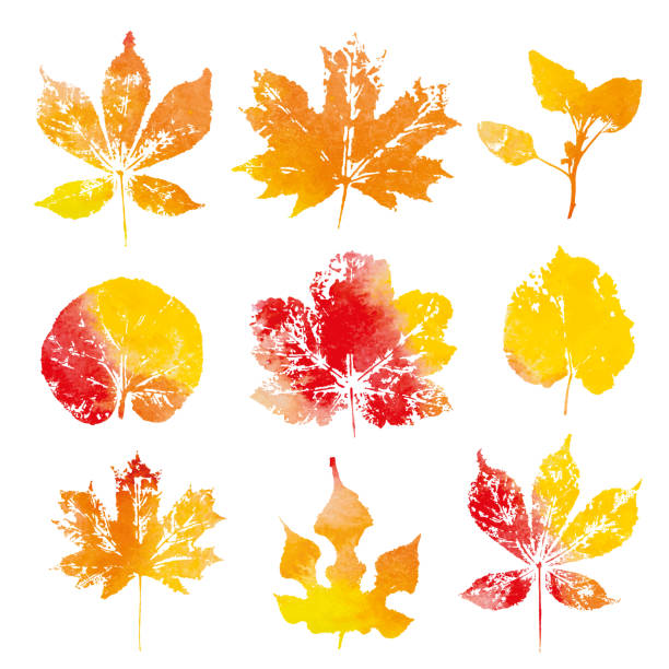 istock Autumn watercolor leaves imprints isolated on white background vector 1050637624