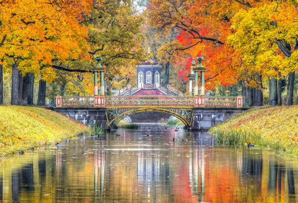 Golden fall in Alexander park, Pushkin, St. Petersburg, Russia Golden fall in Alexander park, Pushkin, St. Petersburg, Russia pushkin st petersburg stock pictures, royalty-free photos & images