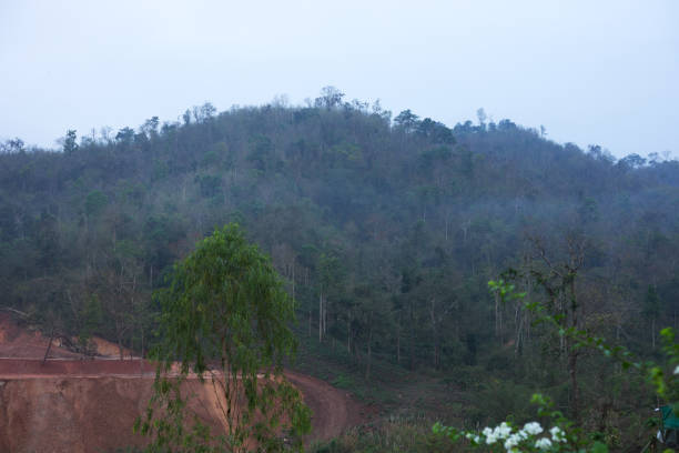 istock Rainforest and mountains in Myanmar near Thailand 1050642930