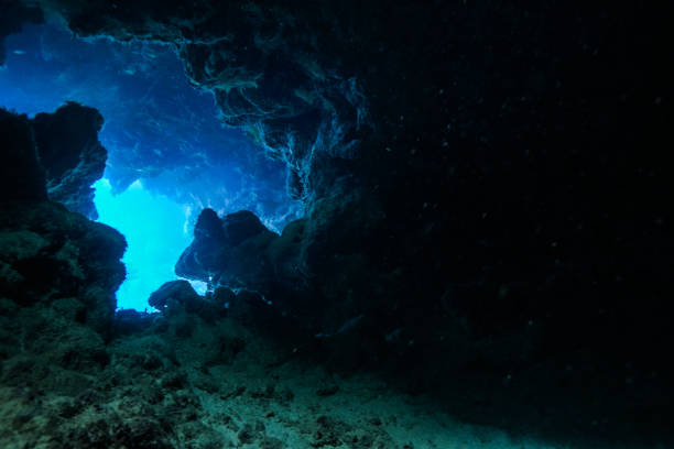 istock Egypt Red sea Scuba diving 1050649914