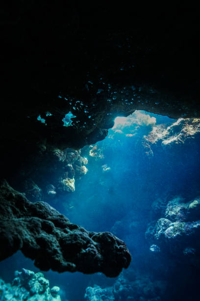 istock Egypt Red sea Scuba diving 1050650092