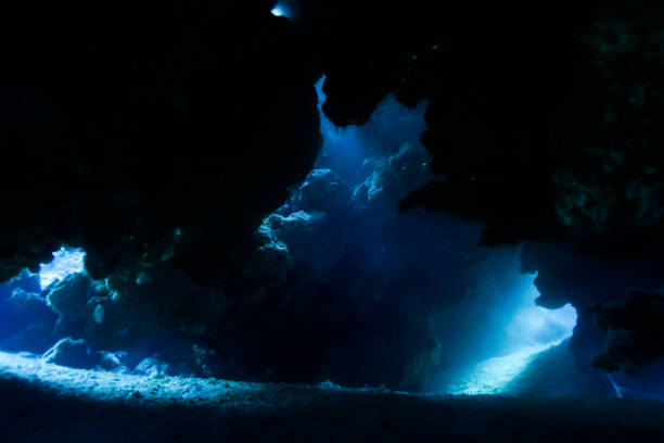 istock Egypt Red sea Scuba diving 1050650094