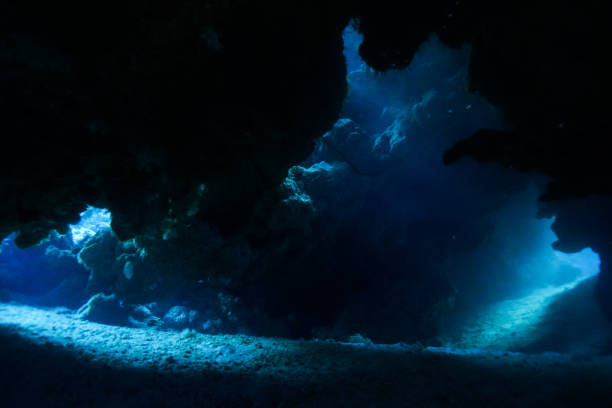 istock Egypt Red sea Scuba diving 1050650154