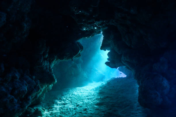 istock Egypt Red sea Scuba diving 1050650272