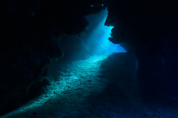 istock Egypt Red sea Scuba diving 1050650276