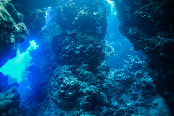 istock Egypt Red sea Scuba diving 1050650338