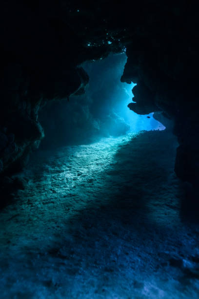 istock Egypt Red sea Scuba diving 1050650414