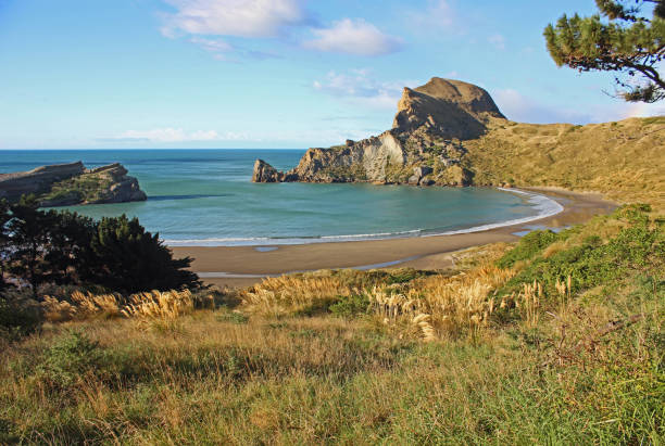 castlepoint - nueva zelanda - castlepoint fotografías e imágenes de stock