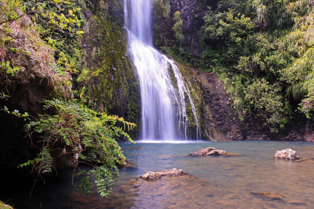 Waterfall - Waitakere Ranges stock photo