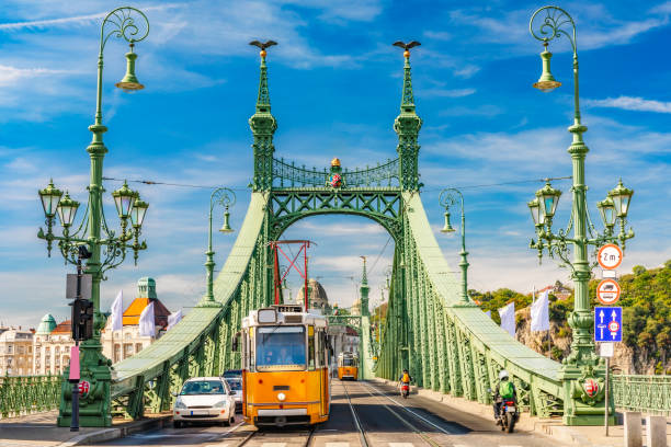 freiheitsbrücke in budapest - budapest stock-fotos und bilder