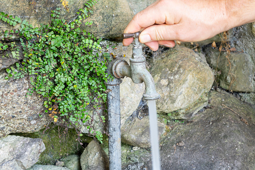 portable gasoline pump pumping water from the pond for garden watering