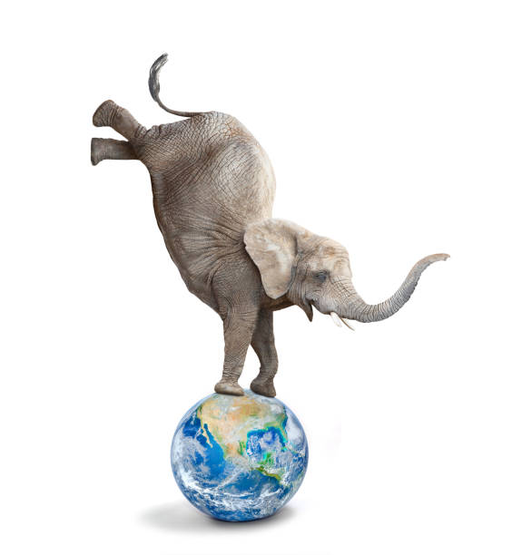 istock African elephant - Loxodonta africana balancing on a blue planet or globe. 1050668162