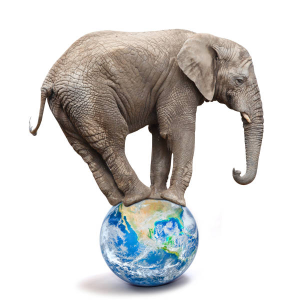 istock African elephant - Loxodonta africana balancing on a blue planet or globe. 1050668166
