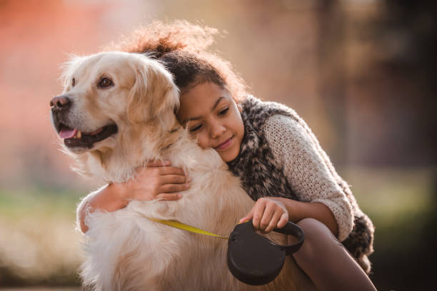 cariñosa muchacha afroamericana abrazando a su perro perdiguero de oro en la naturaleza. - black labrador black dog retriever fotografías e imágenes de stock