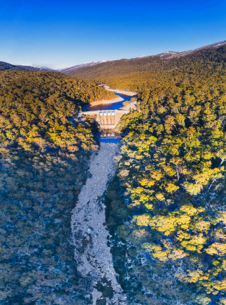 d sm guthega 댐 vert 팬 - kosciuszko national park 뉴스 사진 이미지