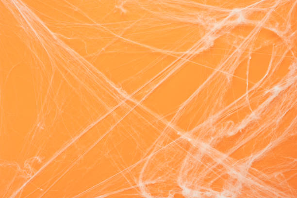 Table top view aerial image of decoration Happy Halloween day background concept.Flat lay accessories essential object to backdrop the white cobweb spider on orange paper.Space for creative design. stock photo