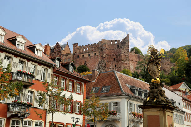 istock Panoramic view of Heidelberg 1050686142
