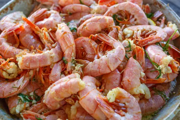 Photo of Grilled large shrimps with dill and garlic close-up