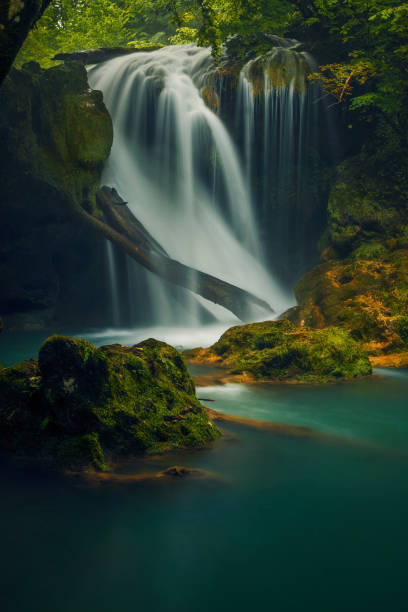 istock A beautiful waterfall in the mountains falling over a log tree with rocks in the foreground covered with green moss shot with long exposure 1050689730