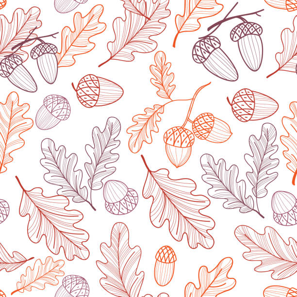 ilustrações de stock, clip art, desenhos animados e ícones de seamless pattern of oak leaves and acorns. autumn line drawing. vector - bolota ilustrações