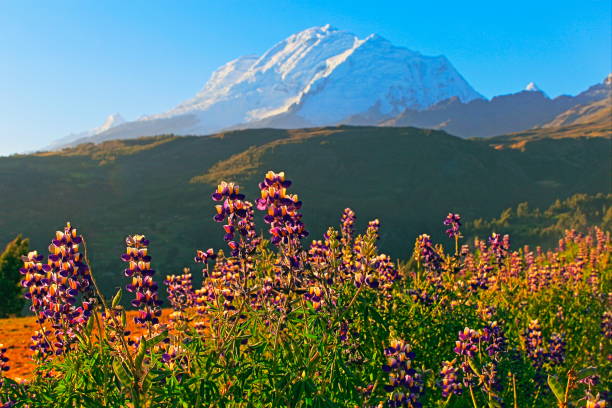 istock Impressive Huscaran Mountain - Cordillera Blanca - Huaraz, Ancash, Peru 1050699376