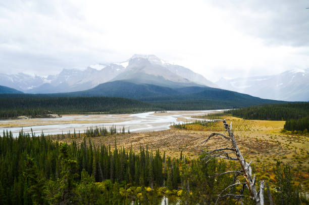 istock North Saskatchewan River in autumn evening at Saskatchewan Crossing along The Icefields Parkway, Banff National Park, Canadian Rockies, Alberta, Canada 1050699892