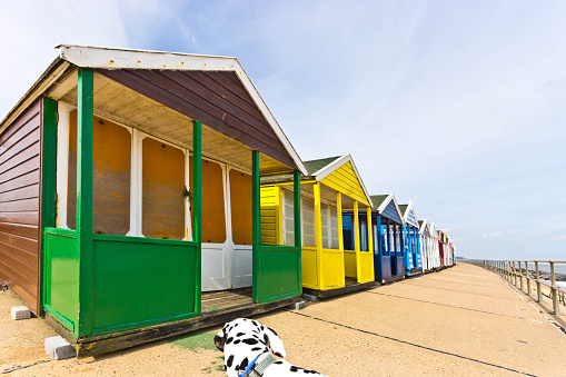 Iconic English beach huts on the promenade at Southwold in Suffolk on a bright sunny summer day.