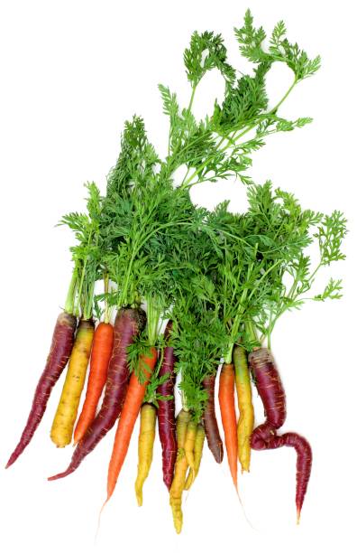 istock Fresh Colorful Carrots 1050705776